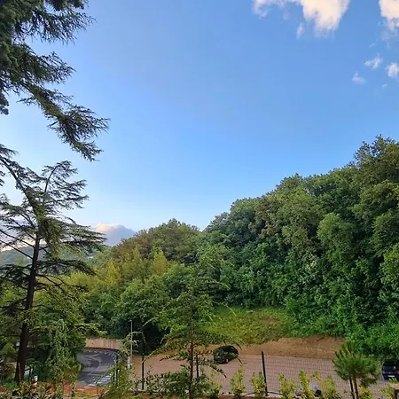 아파트 Fiesa Residence 피란